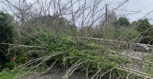 photo  des rafles de vent de près de 72 km/h ont soufflé sur la commune, mercredi après-midi, couchant un arbre sur la route de l’espérance. les services techniques ont dû dévier la circulation via le chemin de mirson, ce qui a perturbé la circulation une bonne partie de l’après-midi. roger, un riverain, se rassure : « quel dommage, encore un arbre en moins, mais bon ! au moins il n’y a pas de victimes ».  &copy;  ouest-france 