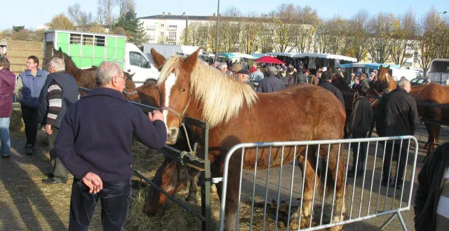 photo  le comice agricole revient pendant les 3 jours de la ferté-bernard qui verra aussi le critérium cycliste ou encore un concours de pétanque et la fête de la bière.  &copy;  archives ouest-france 