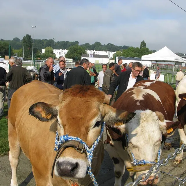 photo le comice agricole fait partie des événements incontournables des 3 jours de la ferté-bernard.  ©  archives ouest-france