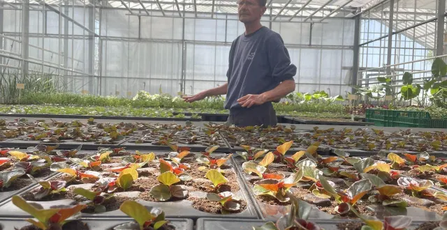 photo  l’office de tourisme propose une visite des coulisses du centre municipal horticole.  &copy;  archives co – victor boutonnat 