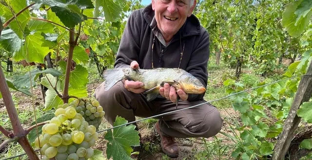 photo  le vigneron patrick baudouin tout sourire avec une tanche de 800 grammes tombée du ciel entre les mains.  &copy;  paul barbazanges 