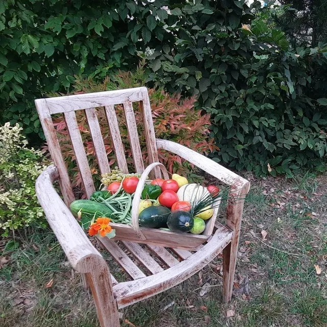 photo en plus de quelques conseils, marie, la voisine, profite du surplus de légumes…  ©  ouest-france