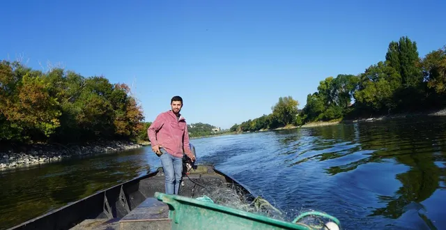 photo  mathieu rezé, vendredi, lors d’une sortie de pêche. ses bateaux mouillent au bout de l’île de chalonnes, côté montjean-sur-loire.  &copy;  ouest-france 