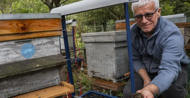 photo  claude breteau et son frère luc ont confectionné eux-mêmes leurs harpes électriques placées à l’entrée des ruches pour protéger les abeilles de ces dangereux prédateurs.  &copy;  le maine libre – denis lambert 