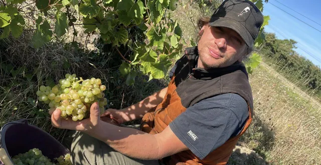 photo  à la tête du domaine de la futaie depuis 2019, adrien delval a appris le métier en alsace, sur les bords de la loire et même en nouvelle-zélande.  &copy;  ouest-france 