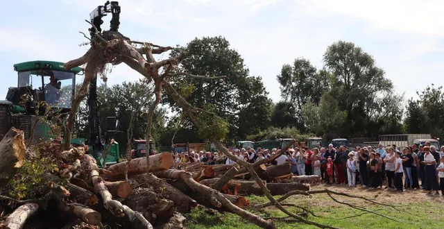 photo  la déchiqueteuse de bois de l’entreprise martin a rencontré un très vif succès auprès du public. en même temps, cette machine capable d’avaler des arbres pour en faire des copeaux est très impressionnante à voir fonctionner.  &copy;  ouest-france 