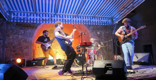 photo  le crapaud et la morue, groupe local et organisateur de ce premier parcé-sur-rock, ont conclu la soirée avec un concert en apothéose.  &copy;  ouest-france 