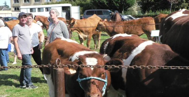 photo  les bovins, représentés en grand nombre, étaient les vedettes de cette grande fête du monde rural.  &copy;  ouest-france 