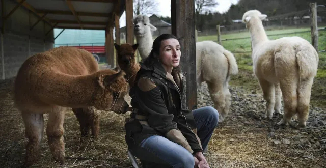 photo  les téléspectateurs vont découvrir les prétendants choisis par géraldine caplain ce lundi 8 septembre 2025 sur m6.  &copy;  photo archives le maine libre - denis lambert 