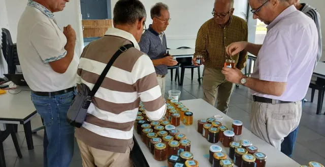 photo  le préjury a sélectionné des échantillons de miel qui seront qualifiés pour le concours.  &copy;  ouest-france 