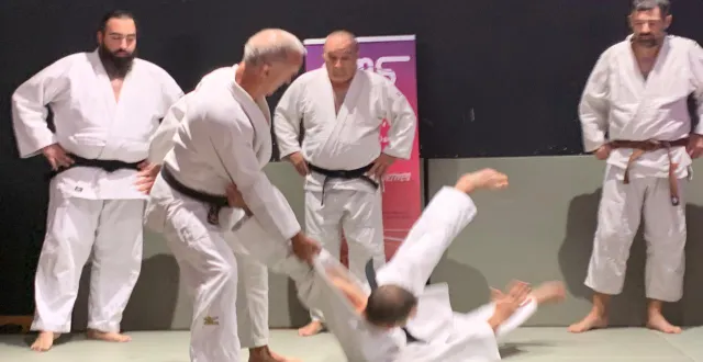 photo  le club de judo a proposé une démonstration aux visiteurs.  &copy;  ouest-france 