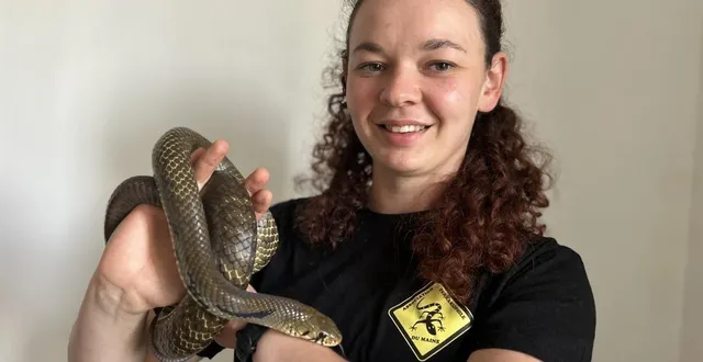 photo  camille delepine est la nouvelle présidente de l’association terrariophile du maine (atm). elle organise cette année la 15e bourse aux reptiles à sargé-lès-le mans.  &copy;  ouest-france 