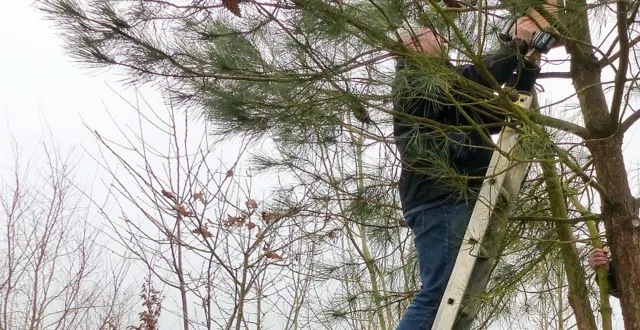 photo  des nichoirs à oiseaux seront confectionnés durant la journée de samedi  &copy;  ouest-france 