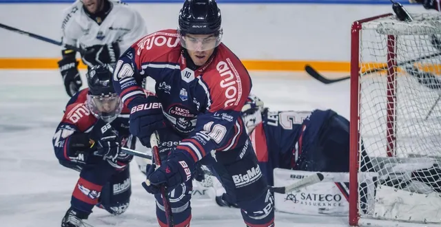 photo  nicolas ritz dispute sa seizième saison de ligue magnus. sa sixième avec les ducs d’angers.  &copy;  les ducs d’angers 