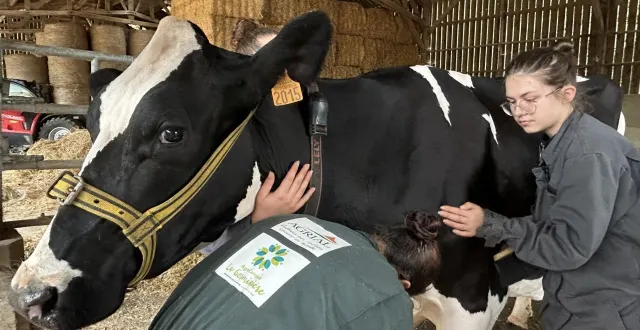 photo  une soixantaine d’élèves de la germinière vont œuvrer lors des quatre jours de la foire du mans.  &copy;  ouest-france 