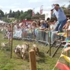 photo  le speaker des courses a donné de sa personne pour encourager les porcins. 