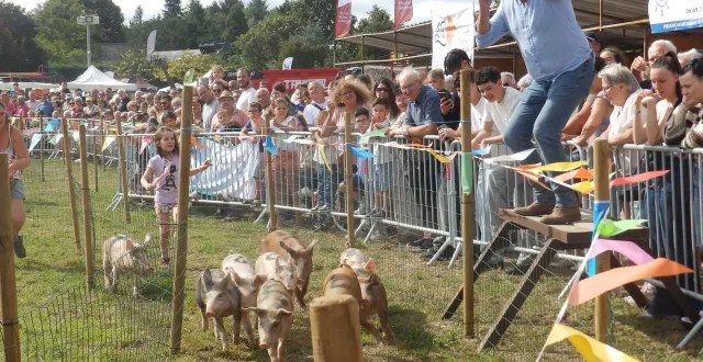 photo  le speaker des courses a donné de sa personne pour encourager les porcins.  &copy;  co 