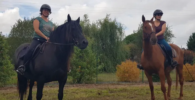 photo  les cavaliers vont pouvoir suivre un nouveau circuit principalement en forêt.  &copy;  co – julien coutenceau 
