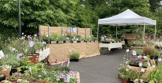 photo  vue d’une partie de la pépinière ancolie et cie.  &copy;  le maine libre 