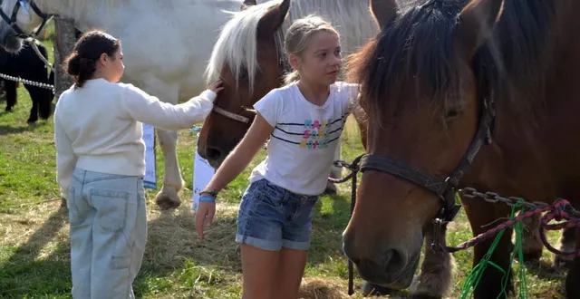 photo  les chevaux ont toujours la côte auprès du public  &copy;  le maine libre 