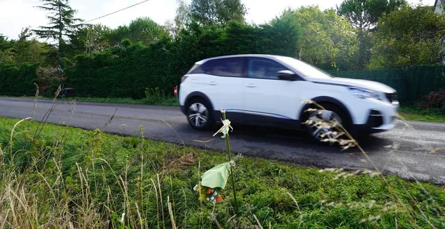 photo  un bouquet a été déposé, en bordure de la rd 55 à saint-mathurin-sur-loire, à l’endroit où un accident mortel a eu lieu le 5 septembre dernier.  &copy;  oeust-france 