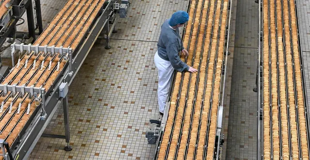 photo  l’entreprise brioche pasquier bénéficie d’un site de production aux cerqueux.  &copy;  archives co - josselin clair 