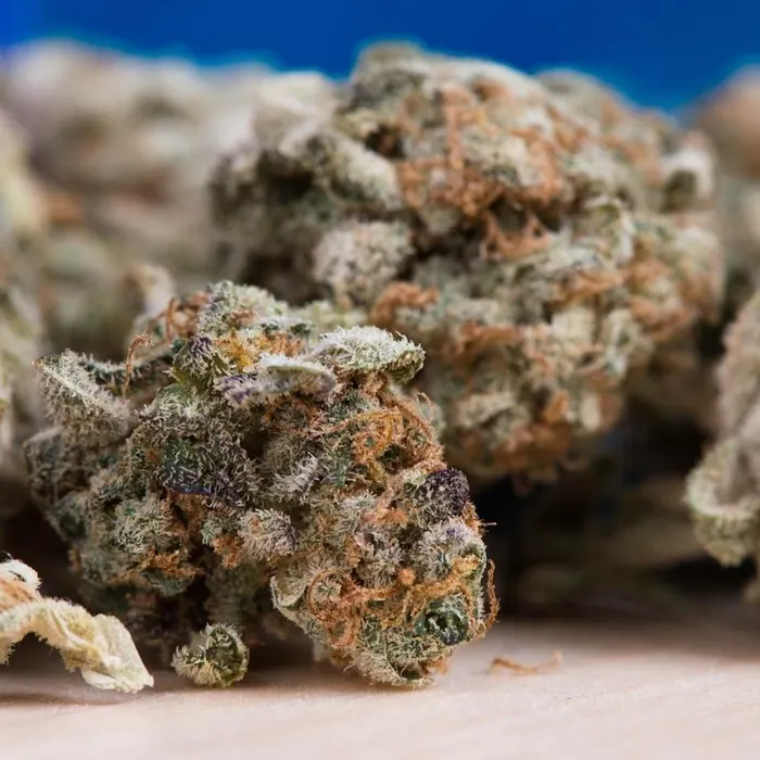 À Marseille, la drogue a fait de cette université une « zone de non-droit »  (Ouest-France)