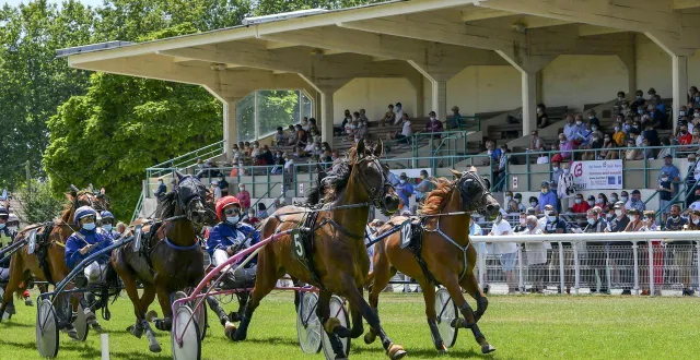 photo  sept courses sont au programme dimanche 14 septembre à l’hippodrome pierre provost d’écommoy.  &copy;  archives le maine libre - yvon loué 