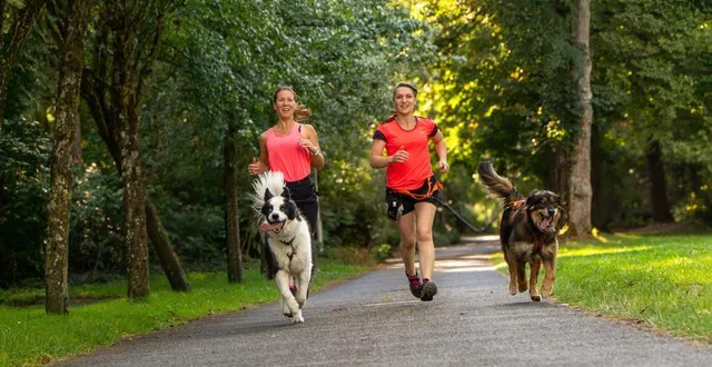 photo  audrey et roxy (à gauche), solène et pato (à droite).  &copy;  co 
