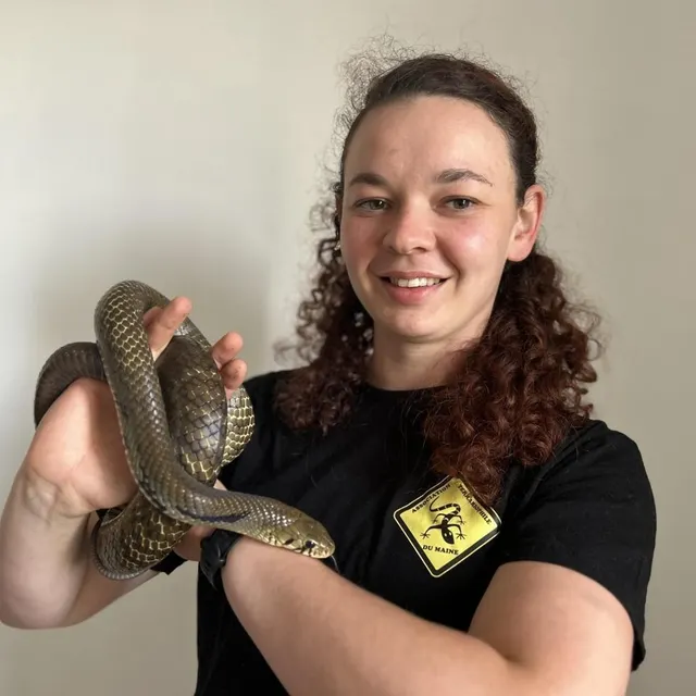 photo camille delepine est la nouvelle présidente de l’association terrariophile du maine (atm).  ©  ouest-france