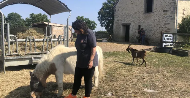 photo  le grand refuge de la spa est situé à pervenchères.  &copy;  archives ouest france 
