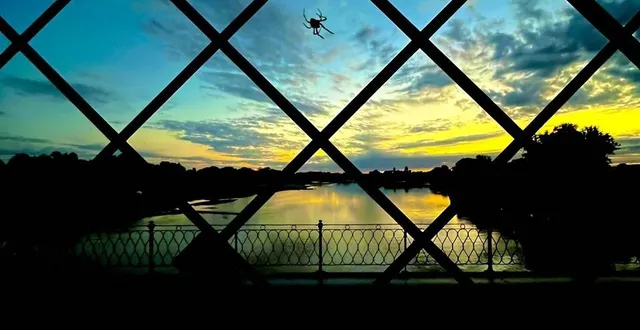 photo  un coucher de soleil à la ménitré, en maine-et-loire.  &copy;  michel vincelot 