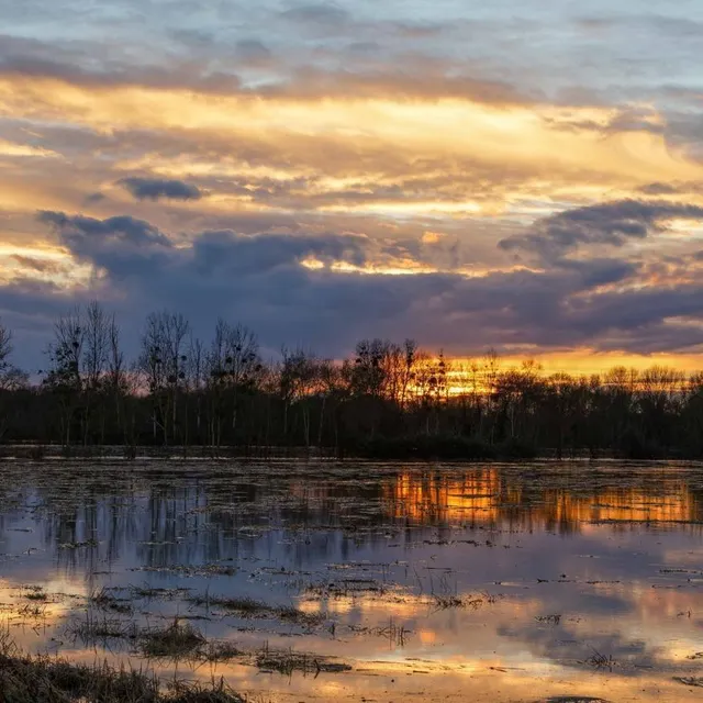 photo martigné-briand.  ©  michel clavereau