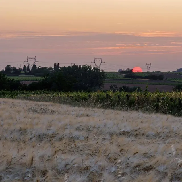 photo martigné-briand.  ©  michel clavereau