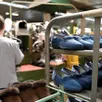 photo  l’entreprise plastigom fabriquait des milliers de paires de chaussons par an. 