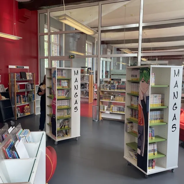 photo l’espace mangas et bandes dessinées à la médiathèque de flers, dans l’orne.  ©  ouest-france