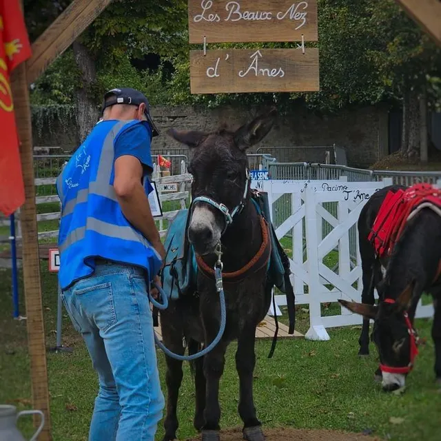 photo le stand « les beaux nez d’ânes » a enchanté les enfants.  ©  ouest-france
