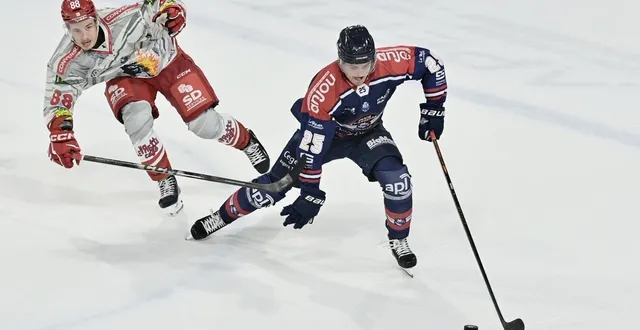 photo  sami tavernier (à droite) a été l’un des artisans de la victoire des ducs en étant impliqué sur trois des six buts angevins contre grenoble, mardi 16 septembre 2025.  &copy;  sébastien aubinaud 