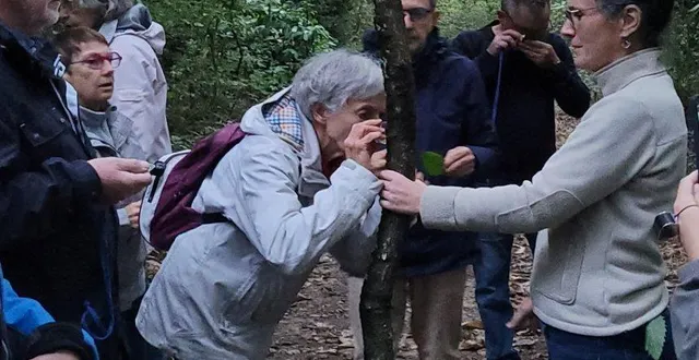 photo  on sent, on respire, on hume les odeurs sauvages de cette terre végétale cueillie au pied des arbres. le monde d’amélie boursier, qui tend le gobelet, est peuplé de trésors.  &copy;  ouest-france 