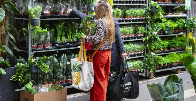 photo  plantes pour tous occupera les galeries lafayette, au 6, rue d’alsace à angers (maine-et-loire).  &copy;  plantes pour tous 