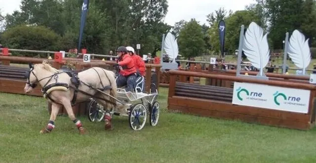 photo  le championnat du monde d’attelage de poneys au haras du pin regroupera dix-sept nations, du jeudi 18 au dimanche 21 septembre 2025.  &copy;  archives ouest-france 