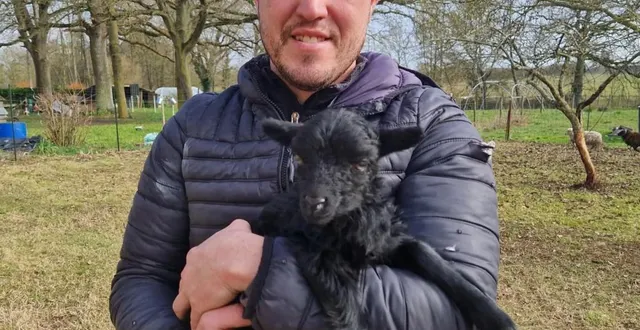 photo  les moutons d’alex.  &copy;  ouest-france 