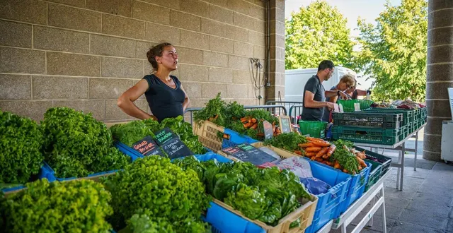 photo  les producteurs et amapiens se retrouvent chaque jeudi sous le préau de l’école henri-david.  &copy;  pierig le pottier – www.hinstoneproductions.fr. 