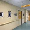 photo ces clichés sont visibles par les patients et visiteurs du pôle femme-enfant de l’hôpital de flers, dans l’orne.