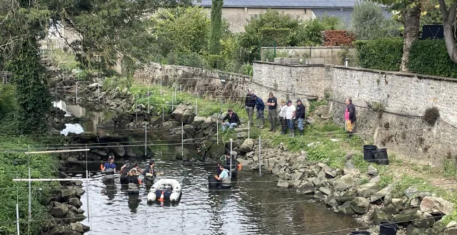 photo  les équipes d’aquabio ont procédé à une pêche de sauvegarde, mardi 16 septembre 2025, dans le bras de la marbrerie à sablé-sur-sarthe.  &copy;  ouest-france 