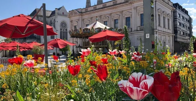 photo  les journées de la fleur française ont lieu le 20 et 21 septembre 2025.  &copy;  archives le courrier de l’ouest - freddy reigner 