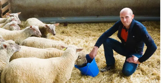 photo  « la vente en direct, c’est aussi une porte ouverte sur notre travail », explique sébastien lemaitre, éleveur de moutons vendéens.  &copy;  ouest-france 