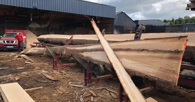 photo  la scierie feillet a découpé des poutres pour la flèche de notre-dame de paris.  &copy;  archives ouest-france 