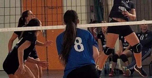 photo  la victoire du coc volley a été logique  &copy;  le maine libre 