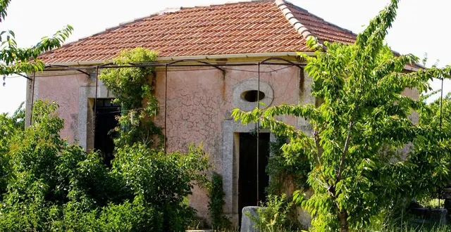 photo  que faire quand le jardin non entretenu d’une maison abandonnée cause des dégradations sur votre bien ?  &copy;  archives afp 